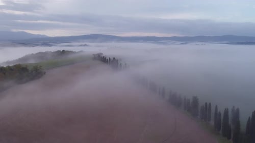 Cypress tree road in rural Tuscany with magical morning mist over rolling hills