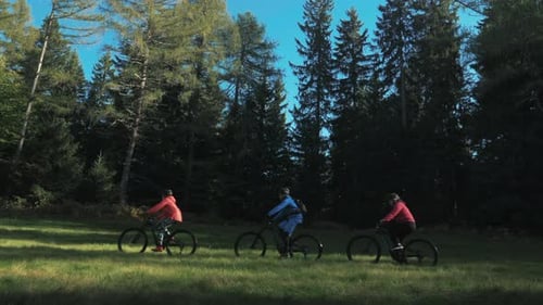 Schöne Aussicht auf junge Freunde, die auf dem Rasen des Waldes von rechts nach links radeln. MTB E-Bikes.