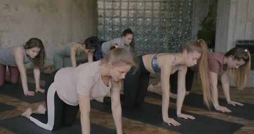 Slow Motion of Beautiful Young Women Yoga Students Working Out in Gym Together