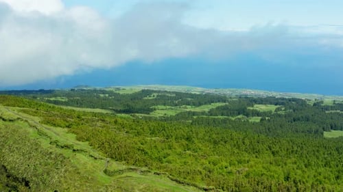 Mountain Forest Near the Ocean