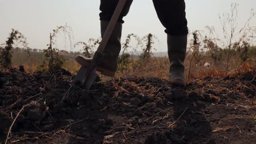 Close Up of Farmer Hard Work Digging with Rubber Boots and Shovel
