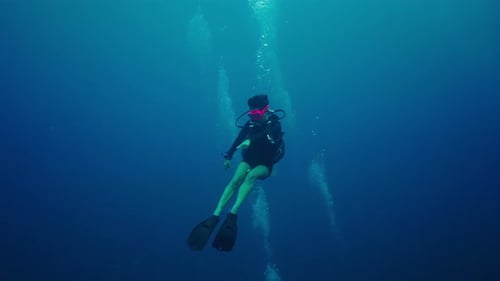 A Diver Indicates That He is Observing Something