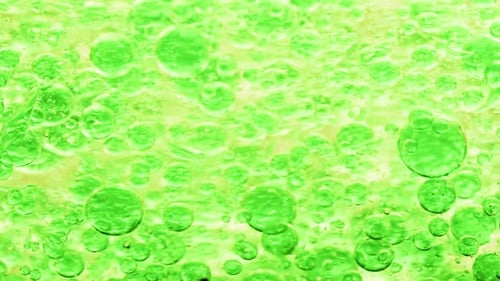 Makroaufnahme von grünen Blasen im Wasser, die rechts mit gelbem Hintergrund schweben
