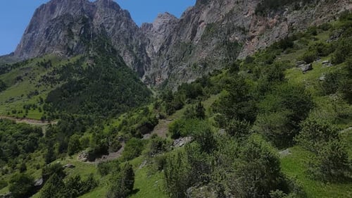 Beautiful Mountain Slopes Covered with Forest Aerial View Alpine Meadows and Grey Mountain Peaks on