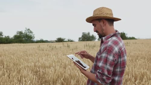 Young Adult Farmer Male Using Digital Tablet in a Golden Wheat Field