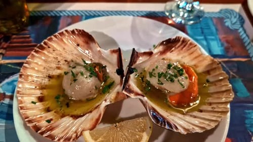 Close-up slow motion of scallops on shells with lemon seafood dish meal presented on plate with glas