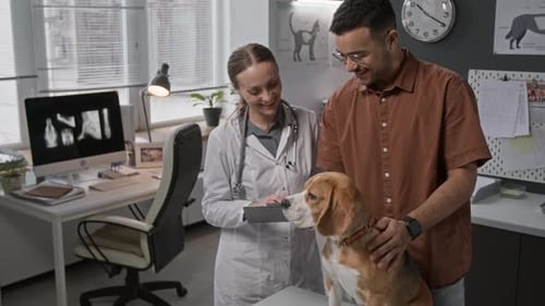 Female Veterinarian Examining Beagle and Consulting Pet Owner in Clinic