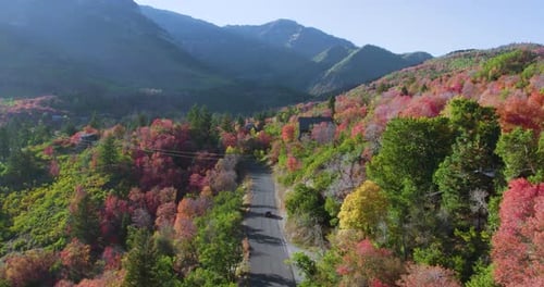 Forwards tracking on vehicle driving on scenic drive Alpine Scenic Loop In American Fork Canyon. Pic