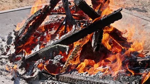 Un feu brûle du bois dans une fosse métallique pendant la journée dans un cadre extérieur avec de l'herbe à proximité