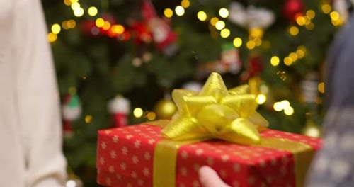 Exchanging Christmas Gift with Decorated Tree Background