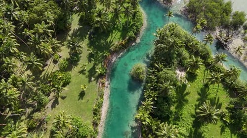 Aerial View of Tropical Paradise River Hidden in Lush Jungle