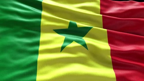 Realistic Waving Senegal Flag Loop Animation