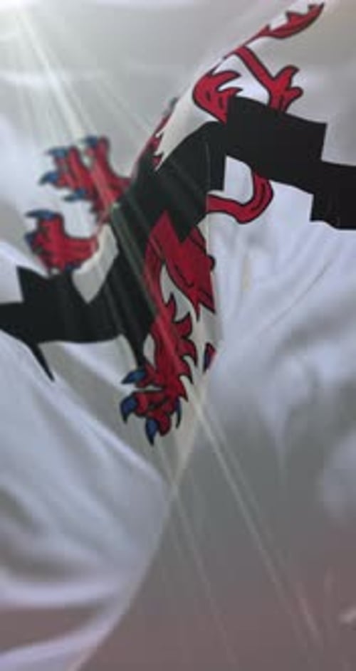 Realistic Waving Flag with Red Lion Heraldic Crest Vertical Video