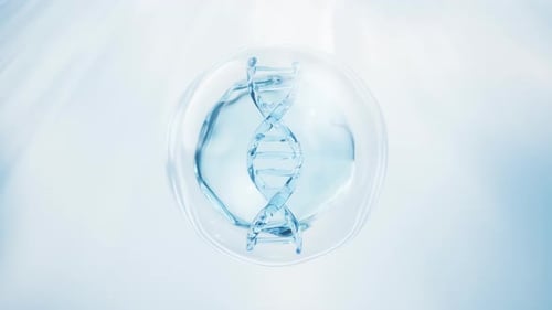 Fluid DNA Helix Rotation in Water Droplet