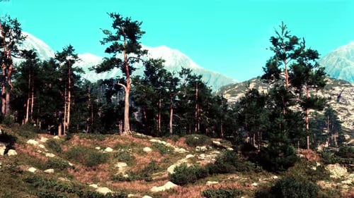 A Scenic Landscape with Trees on a Hill and Majestic Mountains in the Background