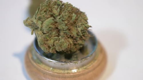 big hairy marijuana buds on the wooden grinder