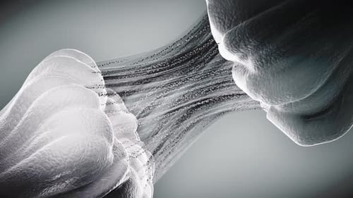 Two Neurons Communicating Synapse Firing Loop 4K