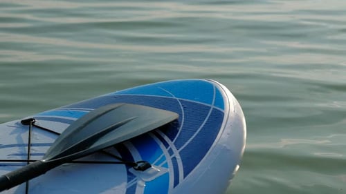 SUP Stand Up Paddle Board on Lake with Water Lilies Paddling on Water