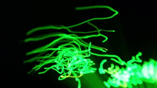 Abstract Streaks of Colorful Light in Motion