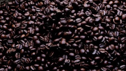 Coffee Beans Falling in Slow Motion Close Up