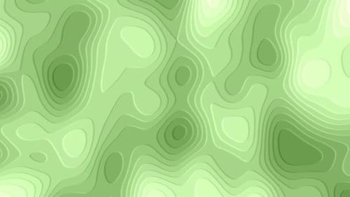 Animated Green Abstract Contour Lines Background Loop