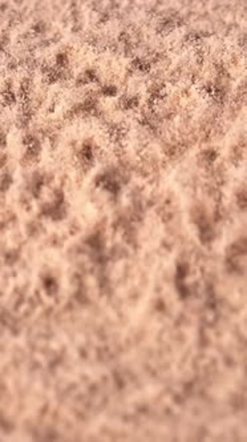 Light Brown Abstract Background Texture in Portrait Orientation