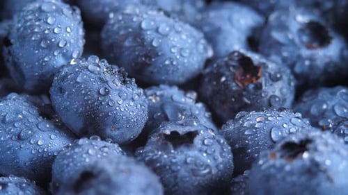 Juicy Blueberry with Water Drops