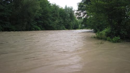 Stirred river taking its way through the trees, after a powerful storm. Muddy water in the river, fl