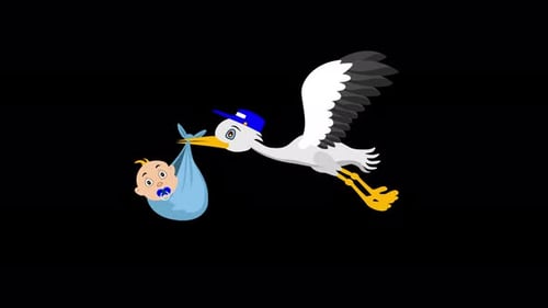 Animated Stork Delivering a Baby Boy in Flat Design