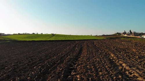 Volando sobre el campo verde. Captura de textura de hierba verde para fondo de un Zumbido