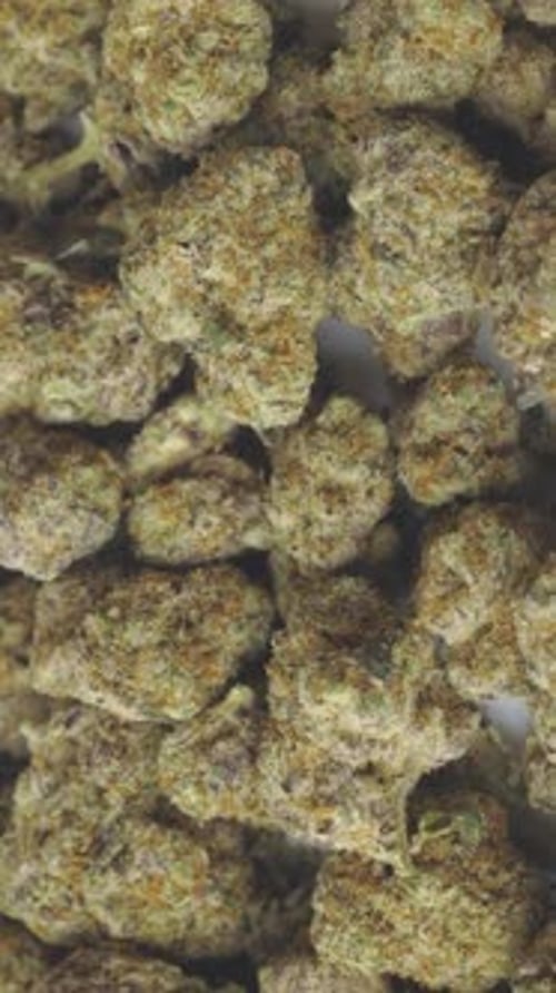 Dolly Shot Marihuana-Nahaufnahme-Vollbild-Hintergrund