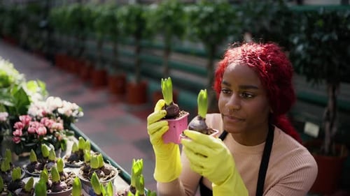 Multiethnic Woman Florist Holding Plants in Greenhouse on the Shelf