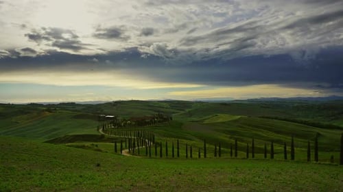 Tuscany Landscape Road Cypresses Hill Sunset