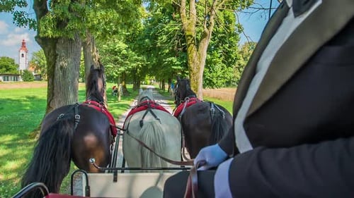 Aerial view of the part of the carriage with three beautiful horses and the cabman.