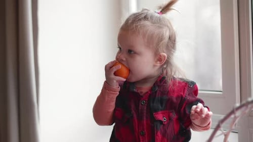 Little Girl Eats Tangerine While Standing By the Window
