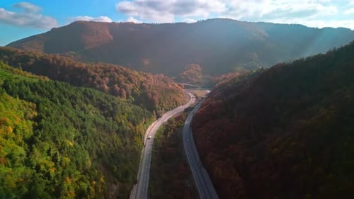 Autumn Forest Road - 4K