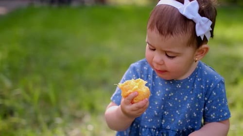 Glückliches Kind spielt sein Lieblingsspielzeug draußen im Park auf grünem Gras, kleines Mädchen sitzt auf einem Anzug