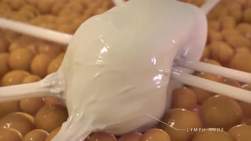 Scientific 3D Visualization of Lymph Node