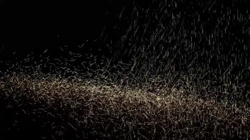 Glitter Shiny Glitter Confetti Explosion Animation