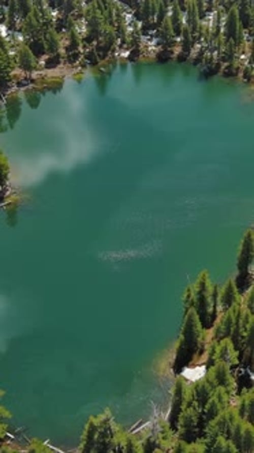 Mountain lake with snow mountains and green forest