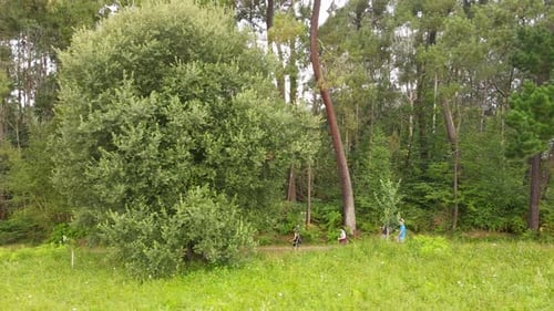 Group of hikers walking the St. James Way (Camino de Santiago) in the middle of the forest. Galician