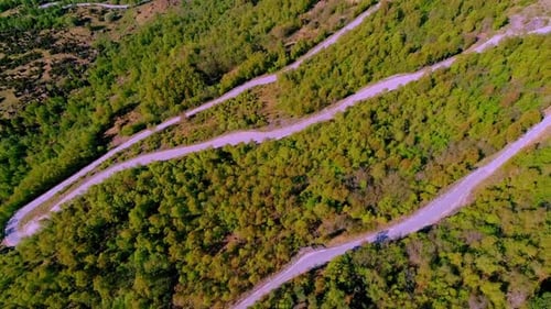 Exploring Winding Mountain Roads Through Lush Green Forest Drone View