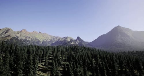 Discover the Lush Forest Beneath Majestic Mountains and Clear Skies