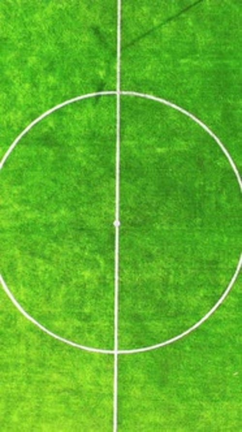 Soccer field on stadium. Green background of a football field. Modern stadium for team sport.