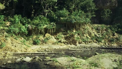 Ruisseau rocheux serein avec une végétation luxuriante et la lumière du soleil filtrant