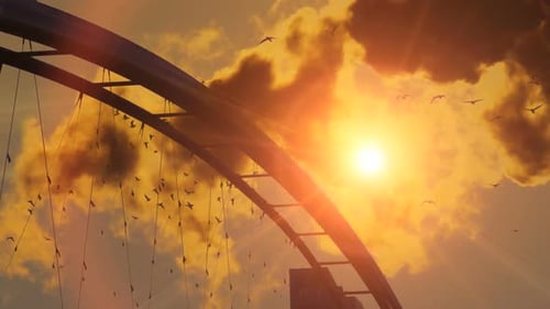 Birds Flying in Slow Motion in Lake Bridge Nature Panorama at Sunset Light