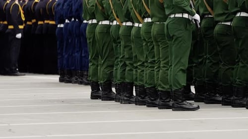 Disciplined Military Formation with Uniformed Personnel in Green and Dark Dress Standing in Precise