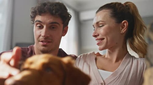 People Caressing Dog Muzzle at Morning Apartment Close Up Happy Couple Talking