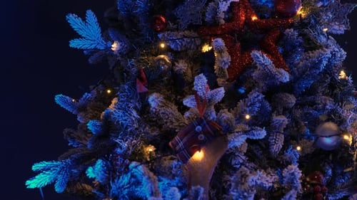 Decorated Christmas Tree with Ornaments and Lights