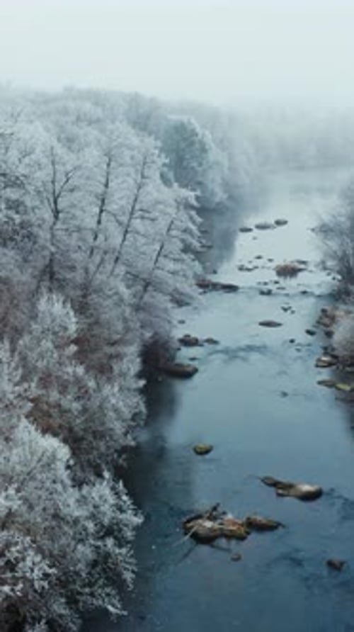 Scenic winter landscape. Aerial view of snow covered forest around beautiful river